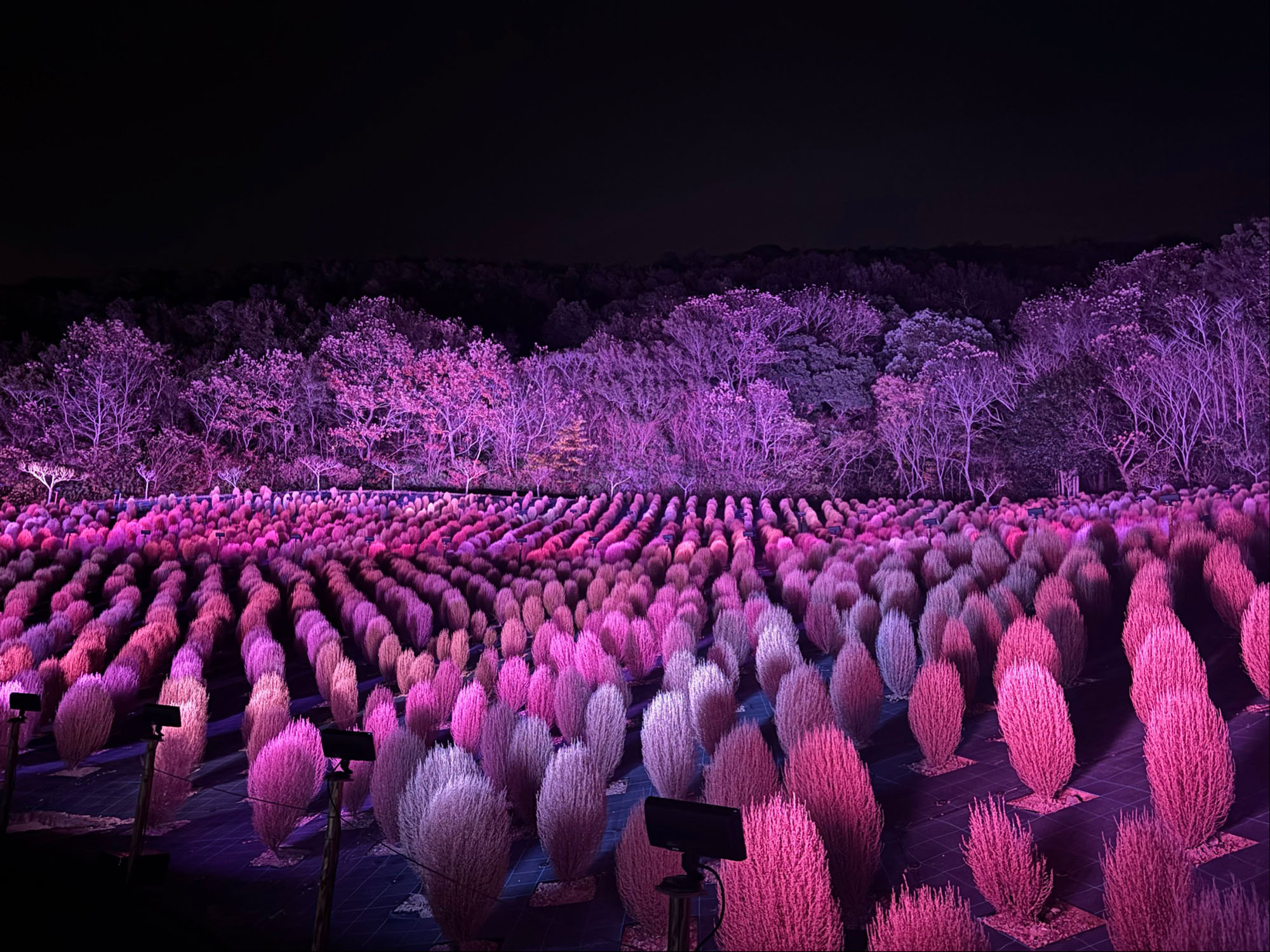 志摩市観光農園